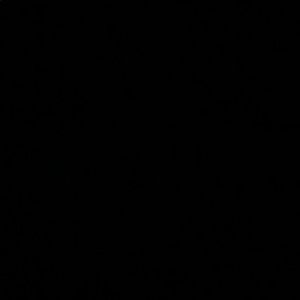 Meet your Posher, Aryana